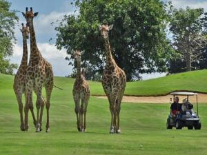 Zebula 1 Pela Lodge, 2-bedroom cottage