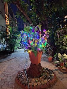 LuxiVibe Studio Apartment in North Goa