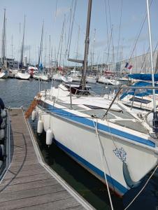 Bateaux Miraflores : photos des chambres