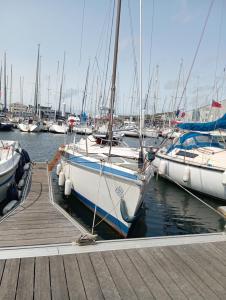 Bateaux Miraflores : photos des chambres