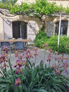 Vue imprenable sur les oliviers!