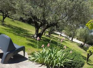 Villas Vue imprenable sur les oliviers! : photos des chambres