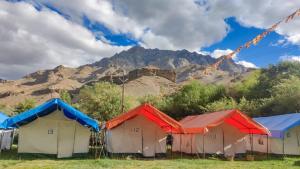 Nunkun Camp Shargole