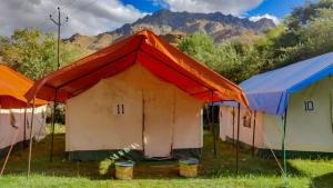 Nunkun Camp Shargole