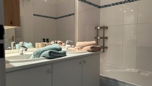 Maisons de vacances Maison avec jacuzzi proche centre : photos des chambres