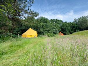 Rode Bell Achter Duin