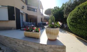 Appartements Villa de la cote bleue : Appartement 2 Chambres