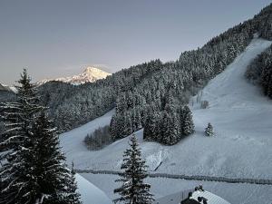 Appartements 2-bed appt Le Biot Portes du Soleil French Alps : photos des chambres