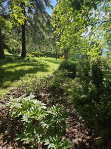 chata Oáza klidu v Beskydech