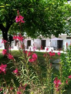 Achillion b&b