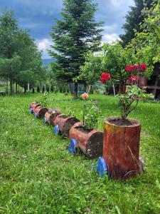 Casa din Padure Valea Doftanei