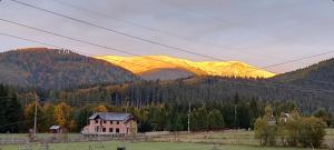 Casa din Padure Valea Doftanei