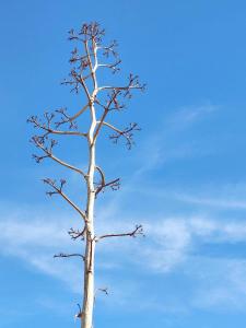 Pita 4, Studio apartment in a Cortijo