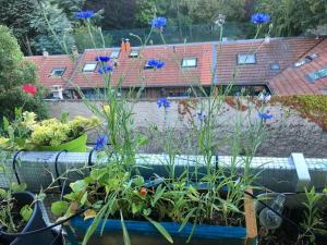 Appartements Beau 4 pieces dans coin de verdure : photos des chambres
