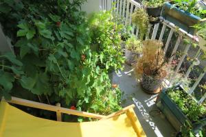 Appartements Beau 4 pieces dans coin de verdure : photos des chambres