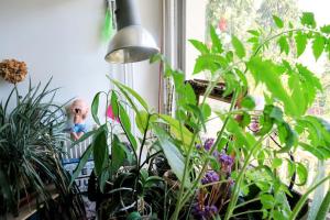 Appartements Beau 4 pieces dans coin de verdure : photos des chambres