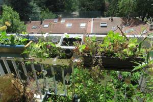 Appartements Beau 4 pieces dans coin de verdure : photos des chambres