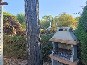 Camping bois dormant