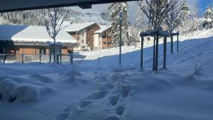 Megeve Praz sur Arly Apparthotel eclat des veriaz Studio vue sur jardin