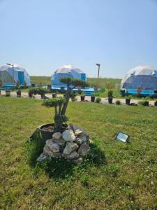 Mar a Lago Glamping23