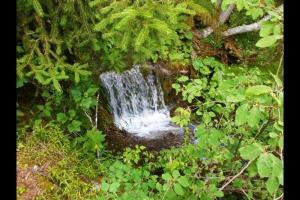 Ancient Engadine Mill