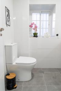 Estudio Nivalis El Rio