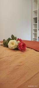 Villas La Villa Luxuria, Terrasse, Centre ville Le Touquet : photos des chambres