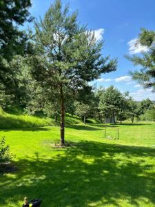 Familijny domek nad jeziorem