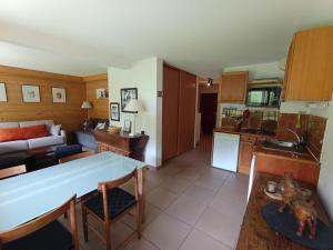 Appartement spacieux en rez de jardin, accès direct aux pistes, animaux admis - FR-1-445-10