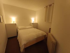 Appartement spacieux en rez de jardin, accès direct aux pistes, animaux admis - FR-1-445-10