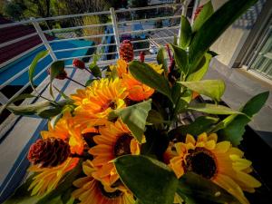 Rest Inn C Guesthouse - 10min from OR Tambo Airport