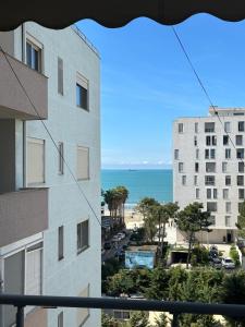 Blue Orchid Apartment