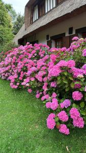 Villas La Moutiniere, luxury cottage with pool : photos des chambres