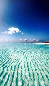 Beach Inn Vashafaru