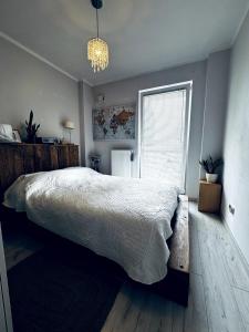 Cosy Apartment near Stadion Narodowy