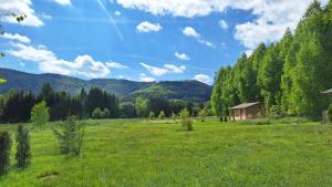 Domki pod Brzózkami