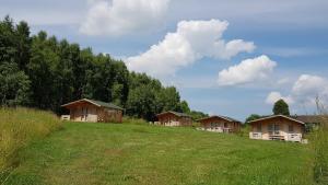 Domki pod Brzózkami