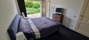 Ruime vakantievilla in Zeewolde