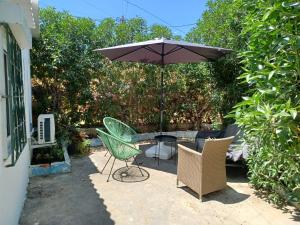 Casa de Férias Palmeira