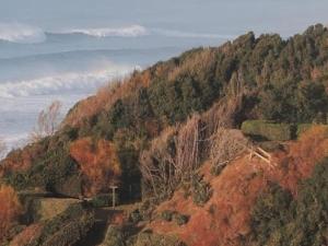 Appartements Appartement Confortable en Plein Centre de Saint-Jean-de-Luz, a Deux Pas de la Plage et des Commerces - FR-1-239-586 : photos des chambres