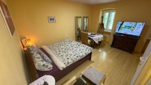 Studio Apartments Vivan & Vittala