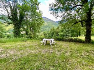 Appartement avec grand espace vert