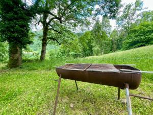 Appartement avec grand espace vert