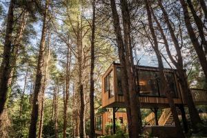 Burrenmore Nest - Luxury Forest Lodges with Hot Tubs & Sauna
