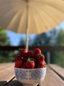 Dom Letniskowy Amalka, sauna, basen, balia