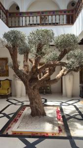 Albakech Boutique Hôtel & Spa