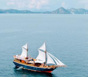 Komodo Cruise 3D2N with Emocean Tour - Monday & Friday Departures