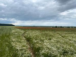 Maisons de vacances Gite Joy : photos des chambres