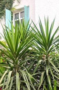 Grande chambre studio 23 m2 avec salle de bain, WC et kitchenette