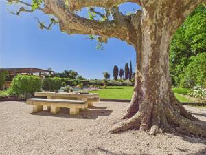 Magnifique Mas Provençal avec Piscine à Eygalières - 19 Couchages, 8 Chambres, Billard, et Plus ! - FR-1-599-3